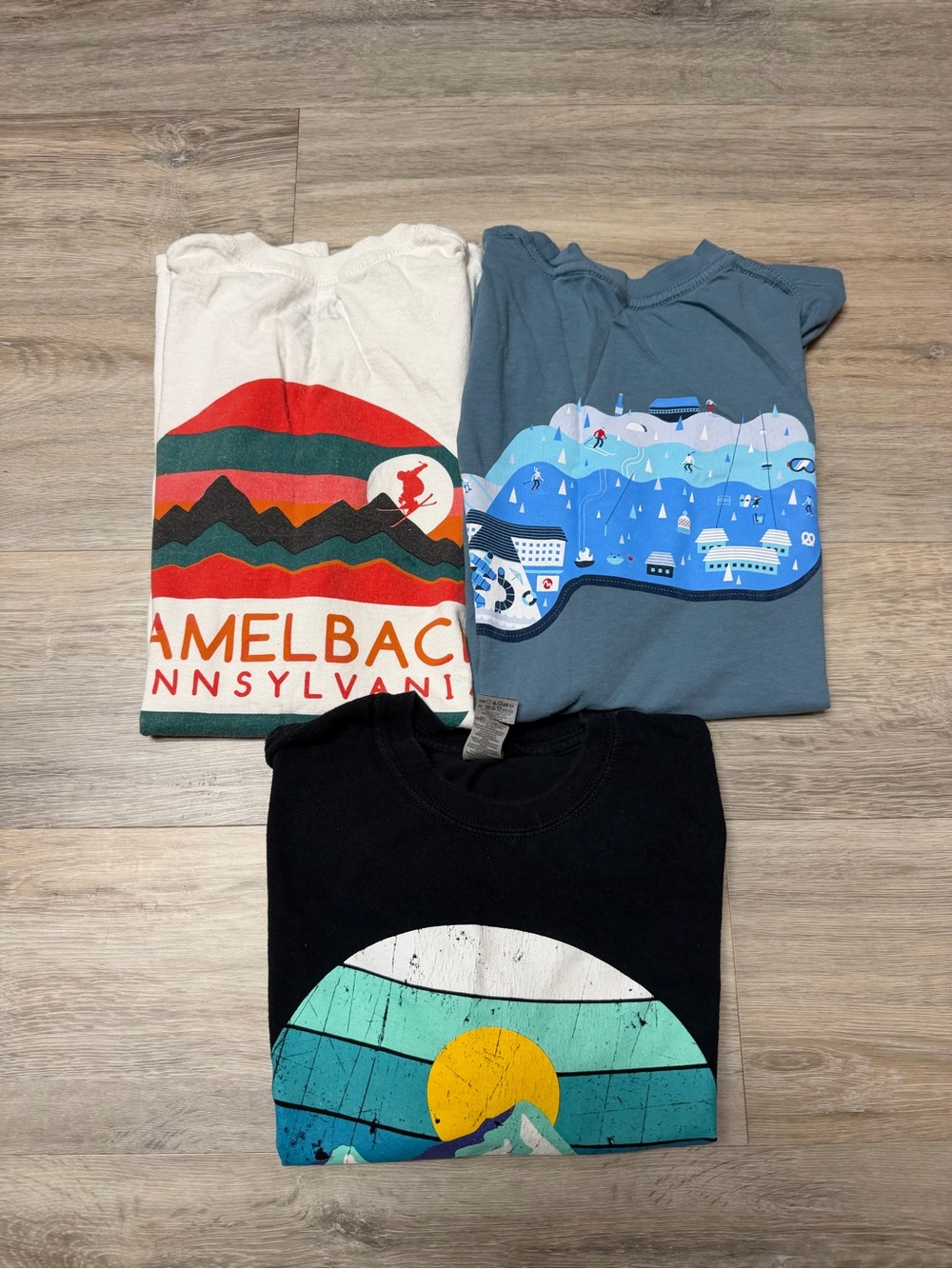 Lot of 3 Unisex Medium Souvenir Tee Shirts